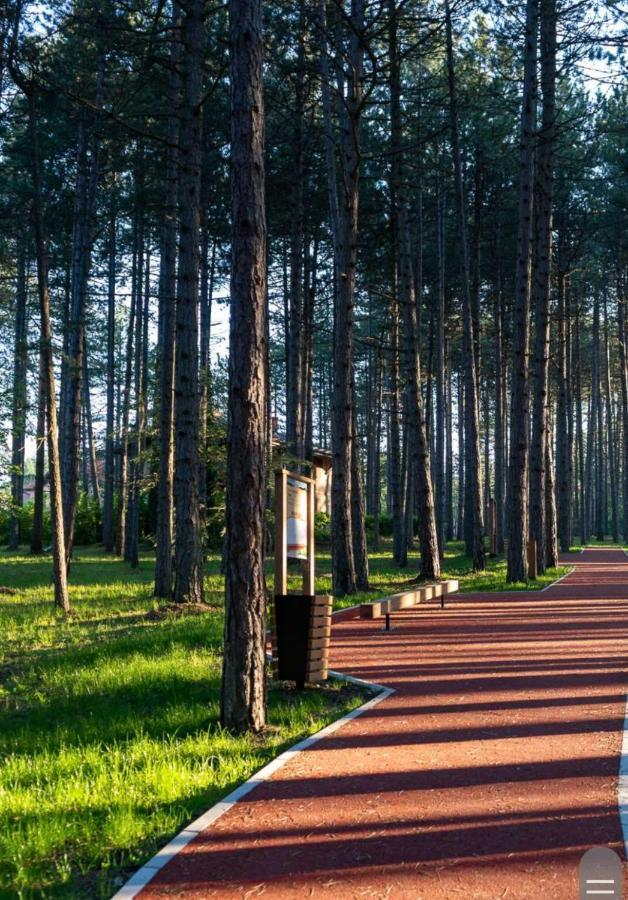 Apartman Pavle Zlatibor Exterior photo