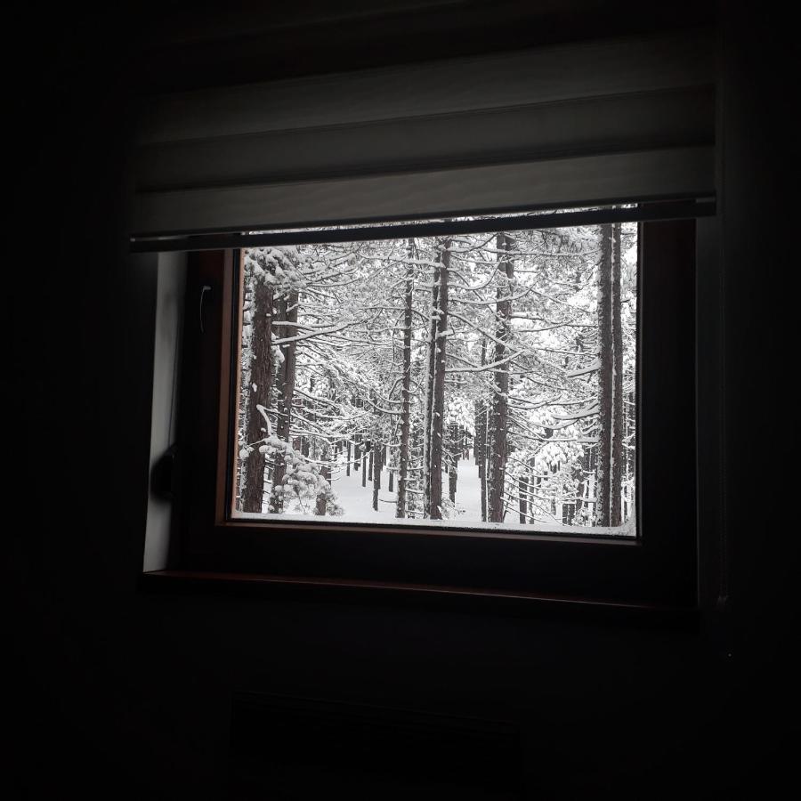 Apartman Pavle Zlatibor Exterior photo